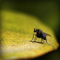 /album/serviceit/photolia-a07-jpg/
